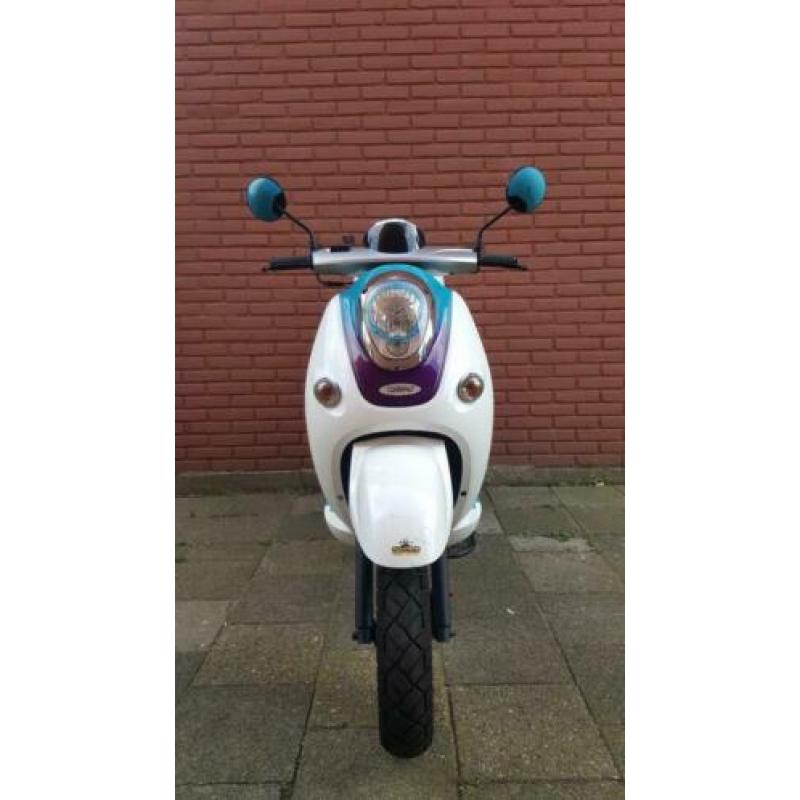 Turbo te koop