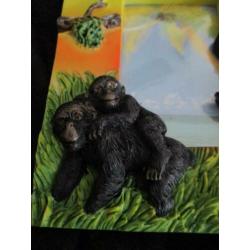 nieuw fotolijstje gorilla
