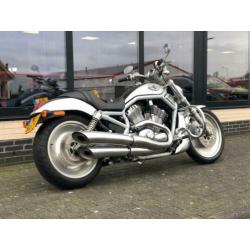 Harley-Davidson V-Rod VRSCA 100 years anniversary edition Ha