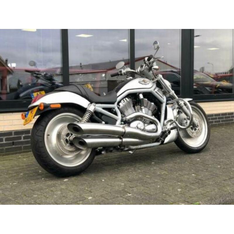 Harley-Davidson V-Rod VRSCA 100 years anniversary edition Ha