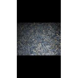 Vloerkleed blauw