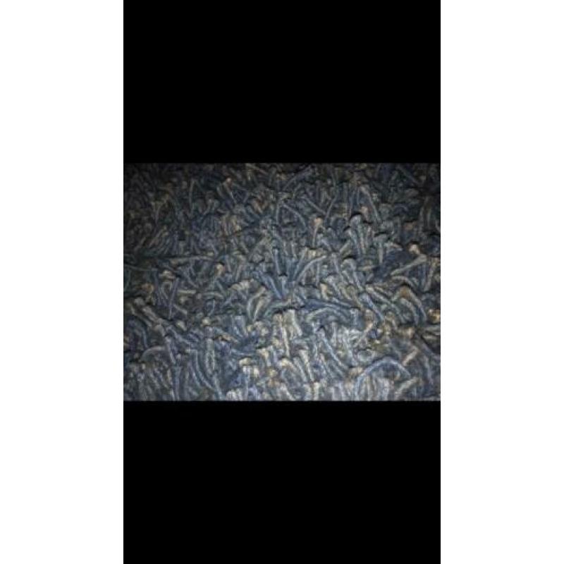 Vloerkleed blauw