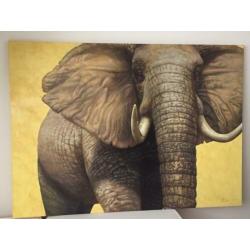 Groot schilderij Olifant