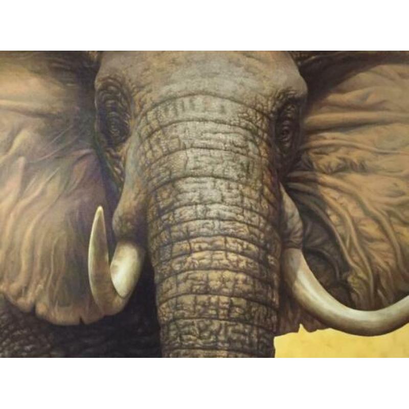 Groot schilderij Olifant
