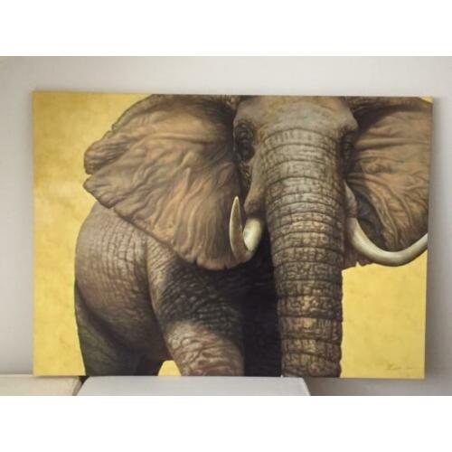 Groot schilderij Olifant