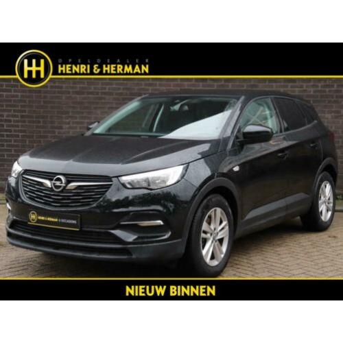 Opel Grandland X 130pk Turbo Edition (19"LMV!/Climate/P.Glas