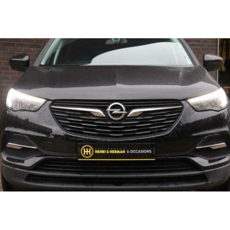 Opel Grandland X 130pk Turbo Edition (19"LMV!/Climate/P.Glas