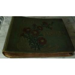 Ansichtkaarten-Postkaarten-Album 1900-1920