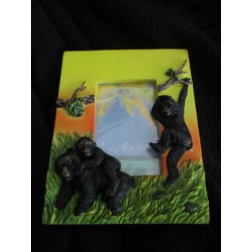 nieuw fotolijstje gorilla