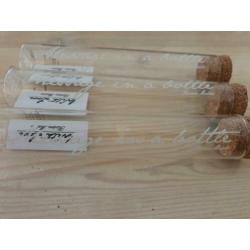 Riviera Maison glazen schelpen, zeester, Message in a bottle