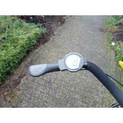 Mooie Cortina E-Roots elektrische fiets