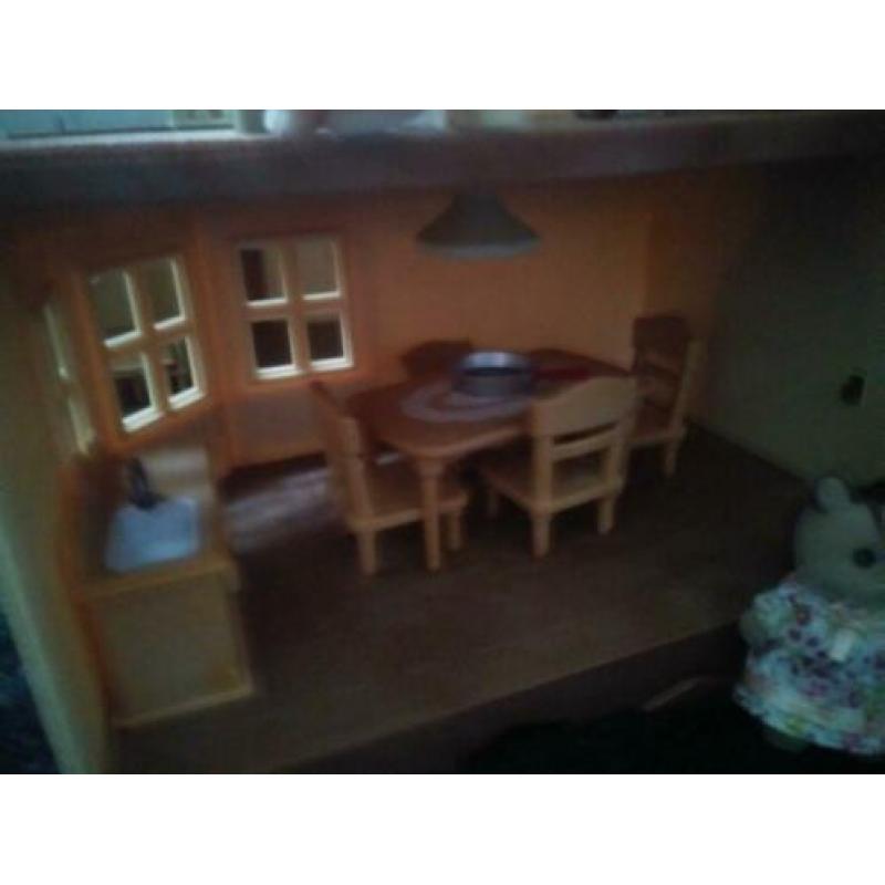 Sylvian families