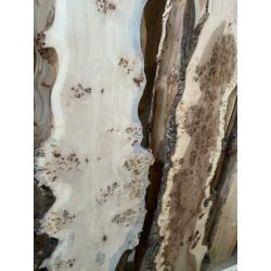 Ook zelf giethars epoxy riviertafel maken van schaaldelen