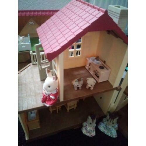 Sylvian families