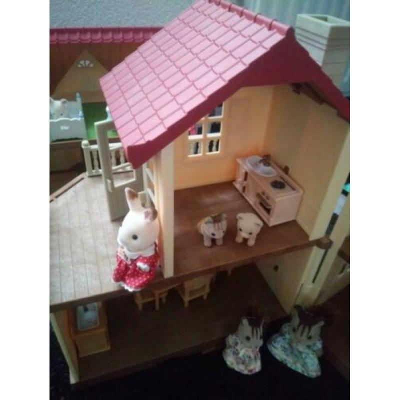 Sylvian families