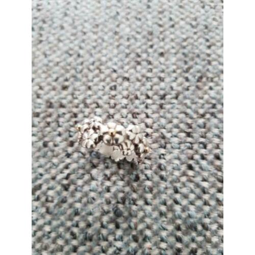 Originele Pandora ring, zilver met goud, maat 53/54-17/17,25