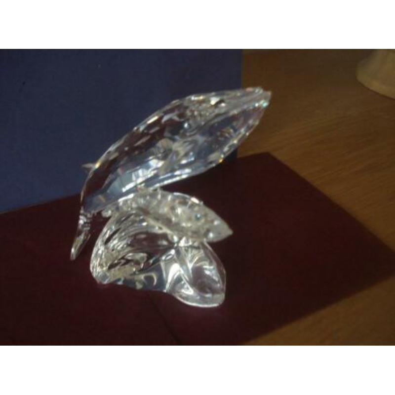 Te koop Swarovski Walvissen jaarstuk 1992