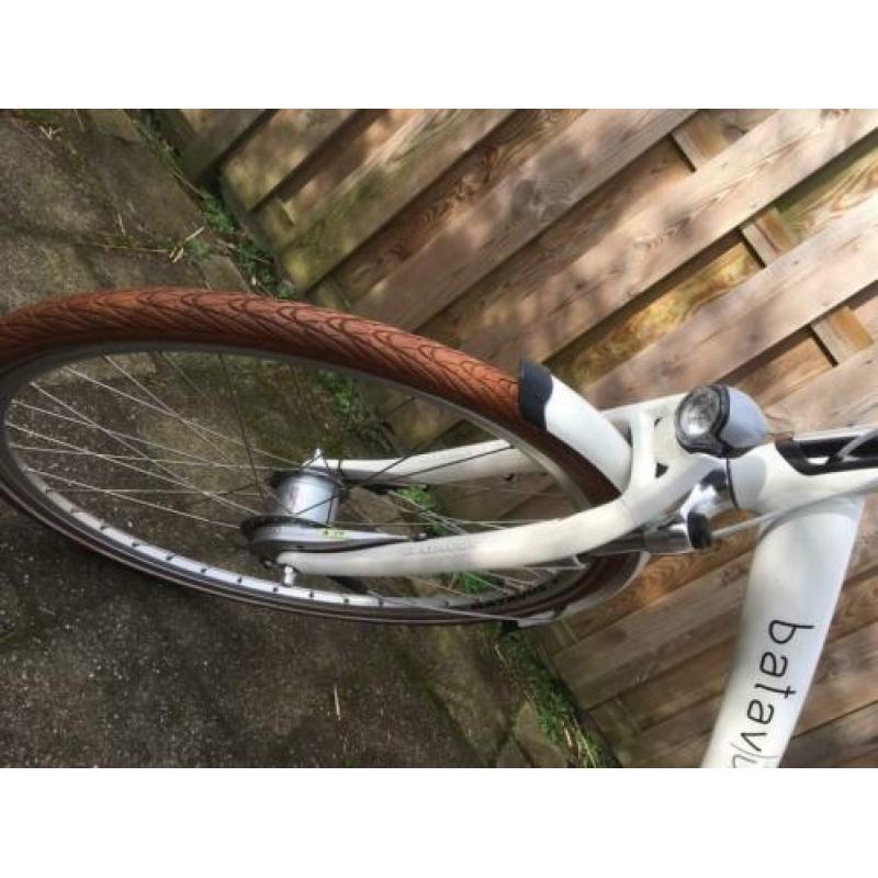 Batavus