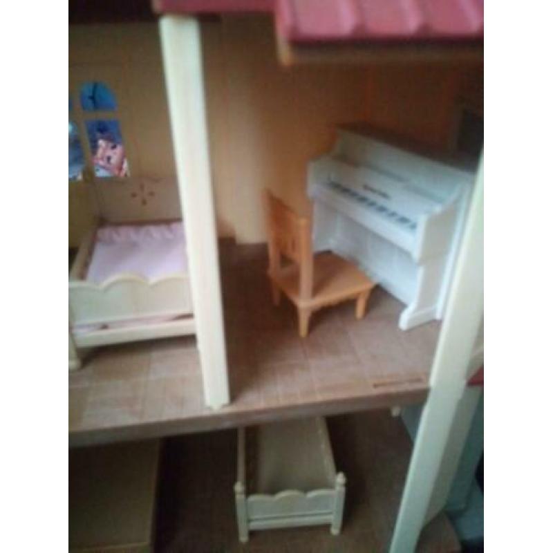 Sylvian families