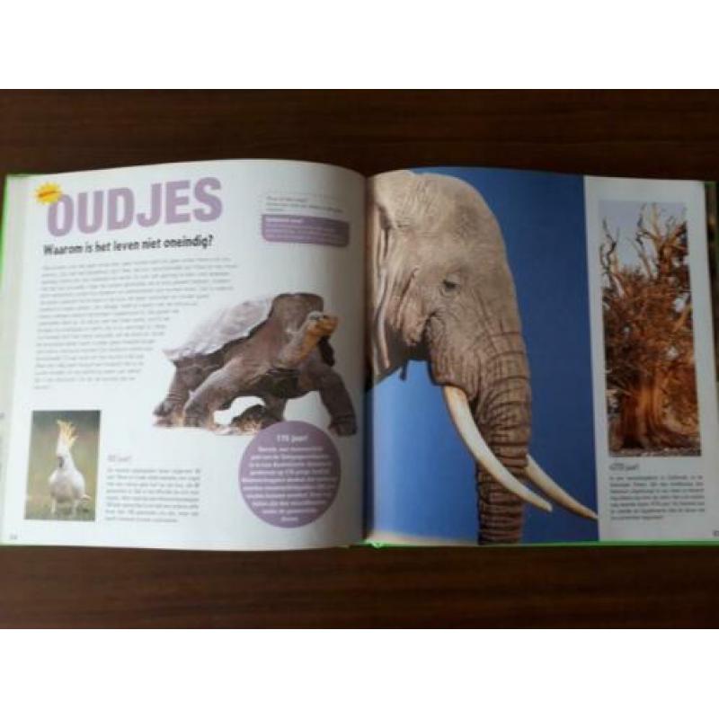 Mega, verbazingwekkende records uit de dierenwereld