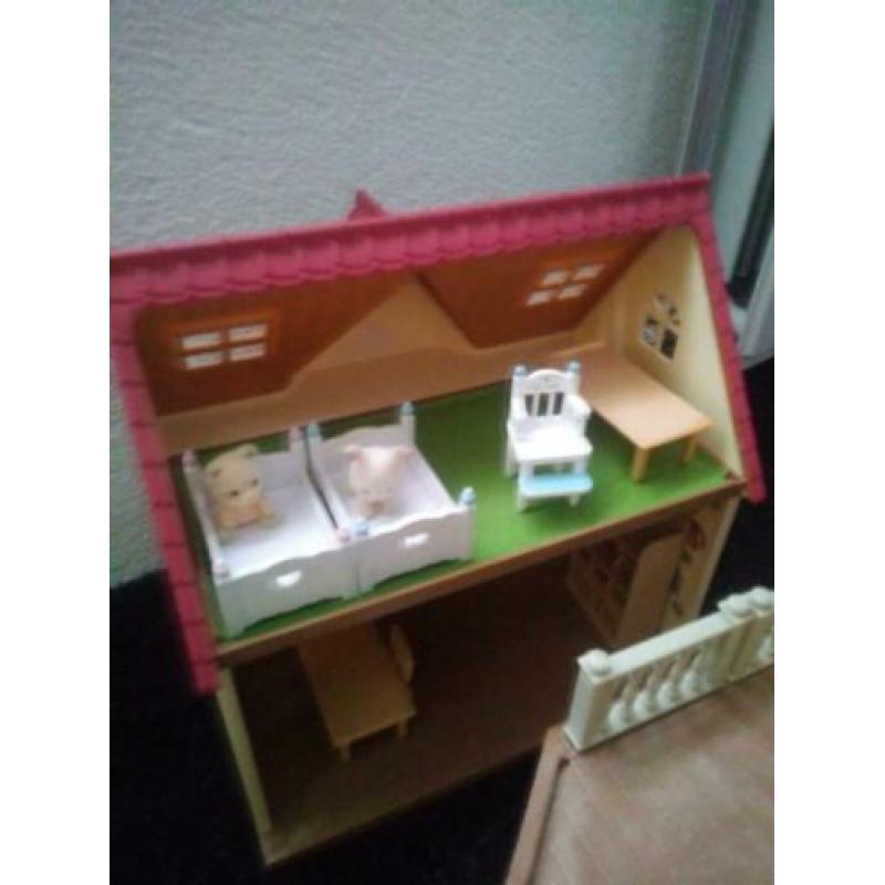Sylvian families