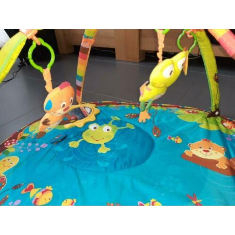 Leuk Tiny Love speelkleed – compleet en in nette staat
