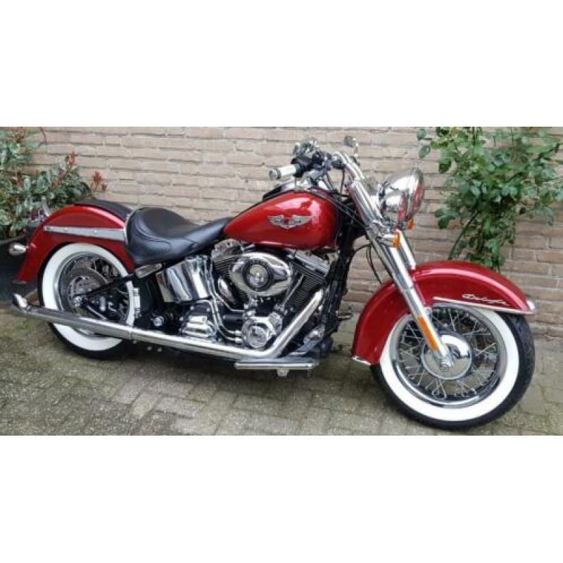 Softail Deluxe Harley Davidson