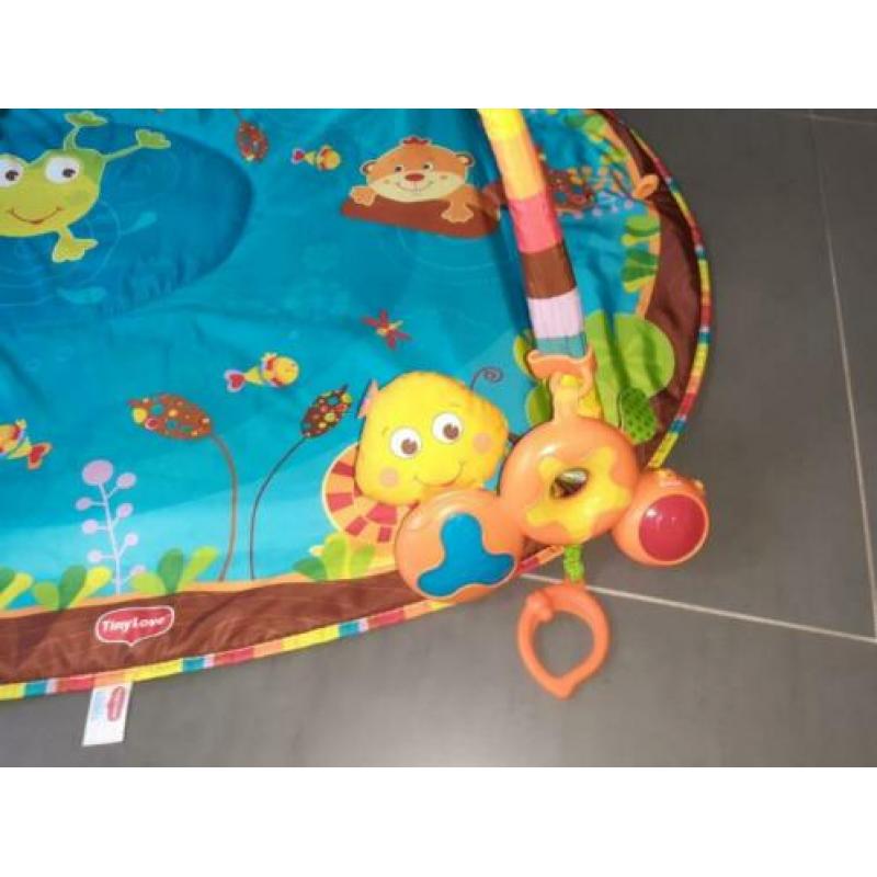 Leuk Tiny Love speelkleed – compleet en in nette staat