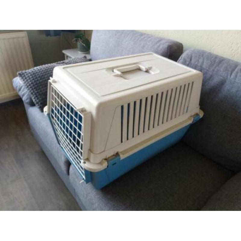 bench / kennel