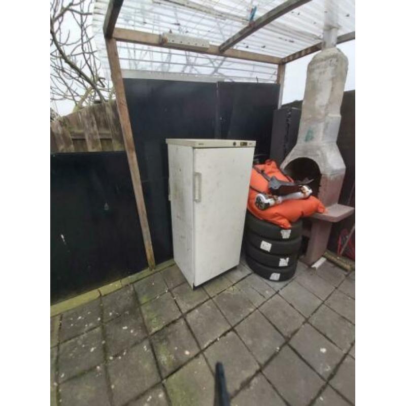 Wit Boch diepvries 6jaar oud werkt voor klein bedrag menemen
