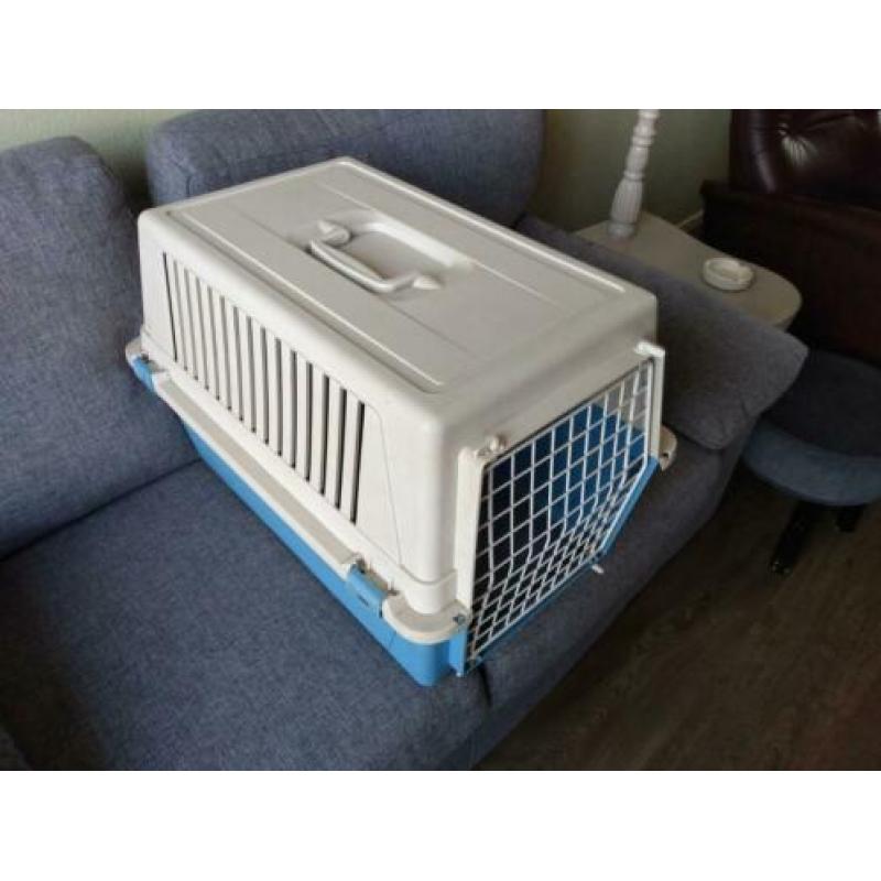 bench / kennel