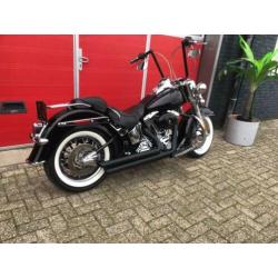 Harley Davidson Chopper 96 FLSTN Softail Deluxe