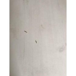 Stevige white wash eettafel voor 6 personen