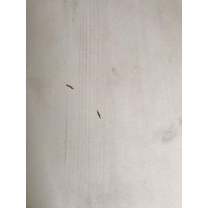 Stevige white wash eettafel voor 6 personen