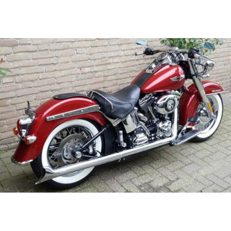 Softail Deluxe Harley Davidson
