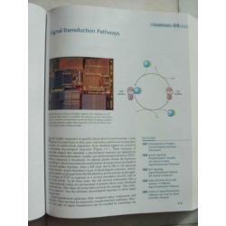 Biochemistry