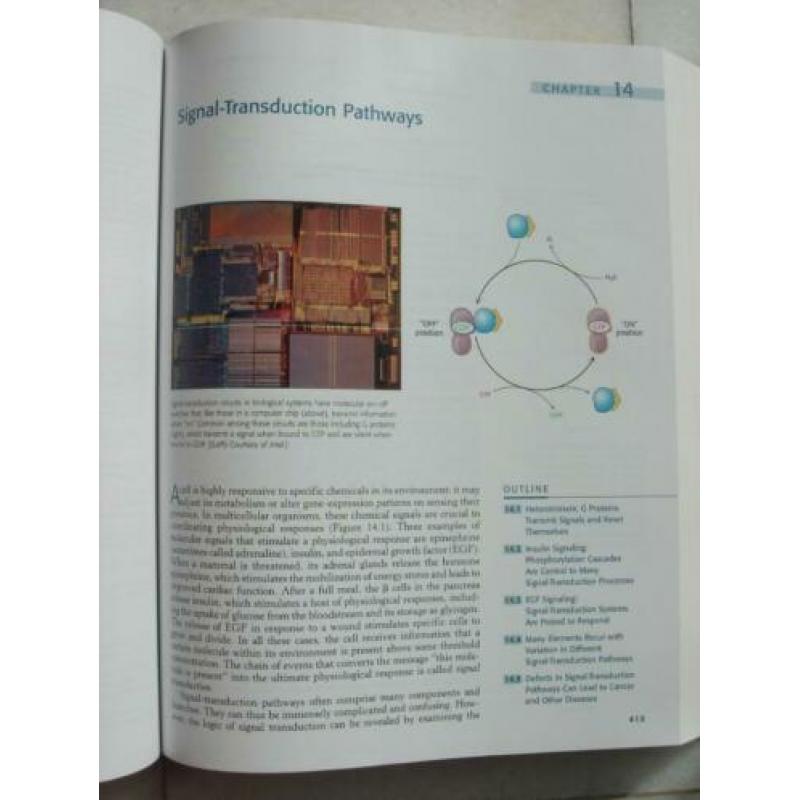 Biochemistry