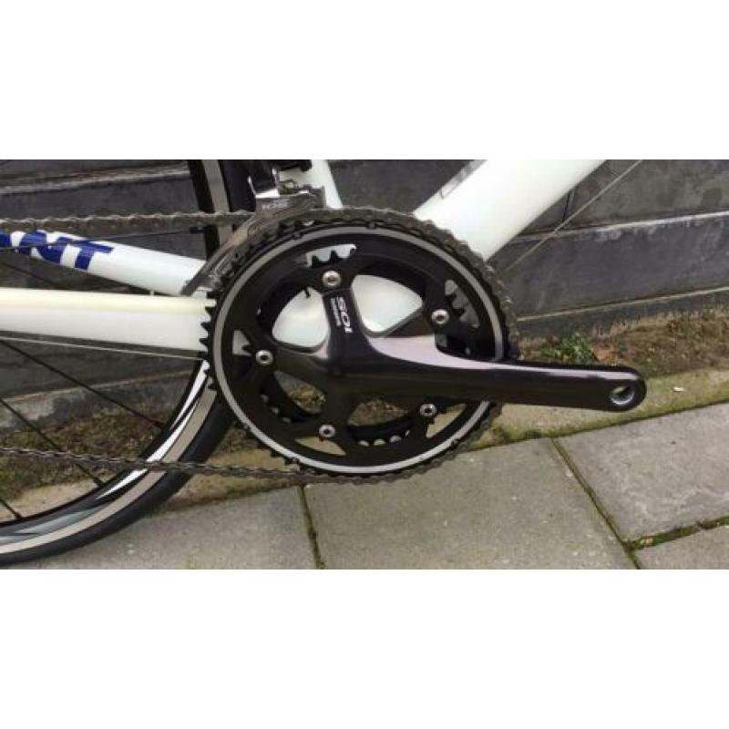 Giant TCR advanced (team replica)