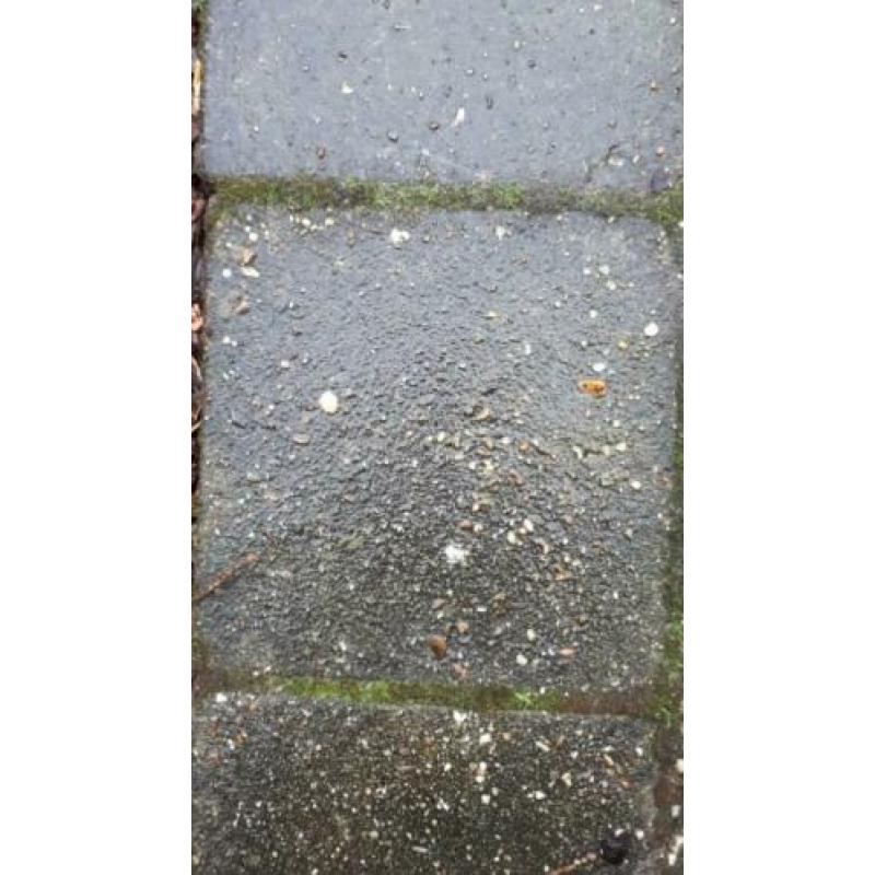 Gratis tegels stoeptegels terrastegels