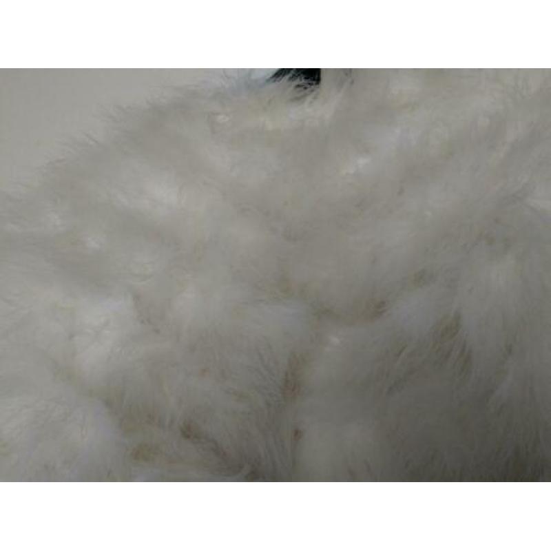 Witte stola met veren