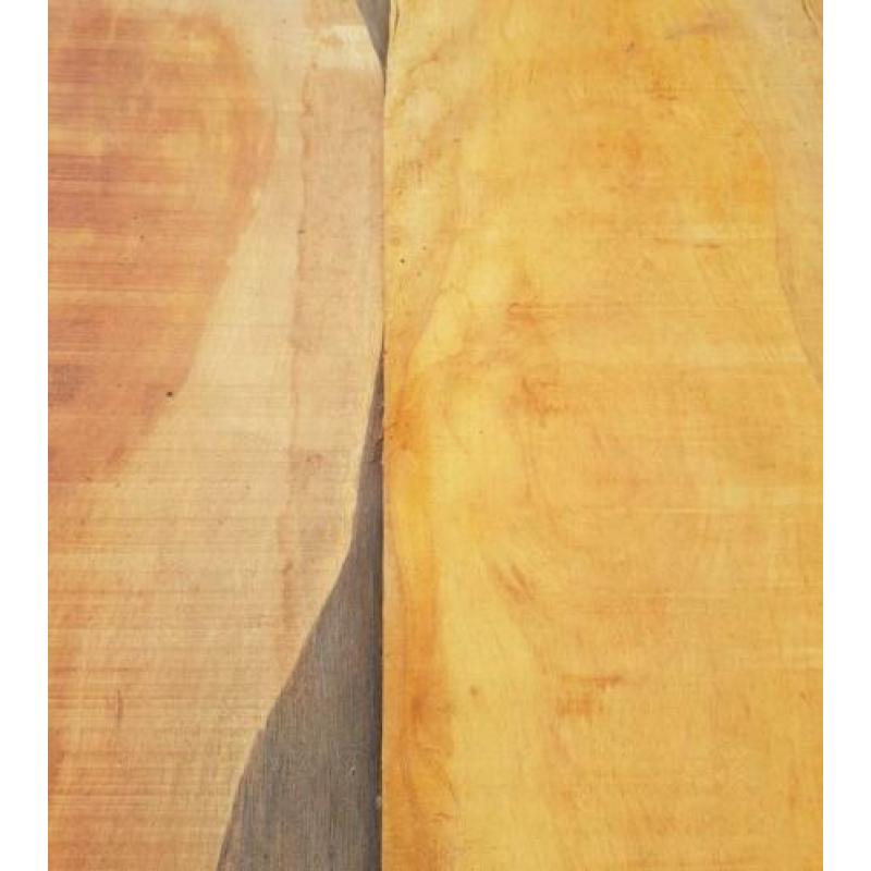 Billinga hout