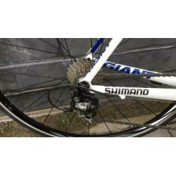 Giant TCR advanced (team replica)