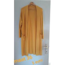 Jurkjes, blouse, vesten truien enzo voor een spotprijs