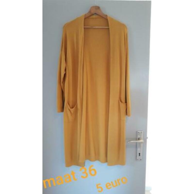 Jurkjes, blouse, vesten truien enzo voor een spotprijs