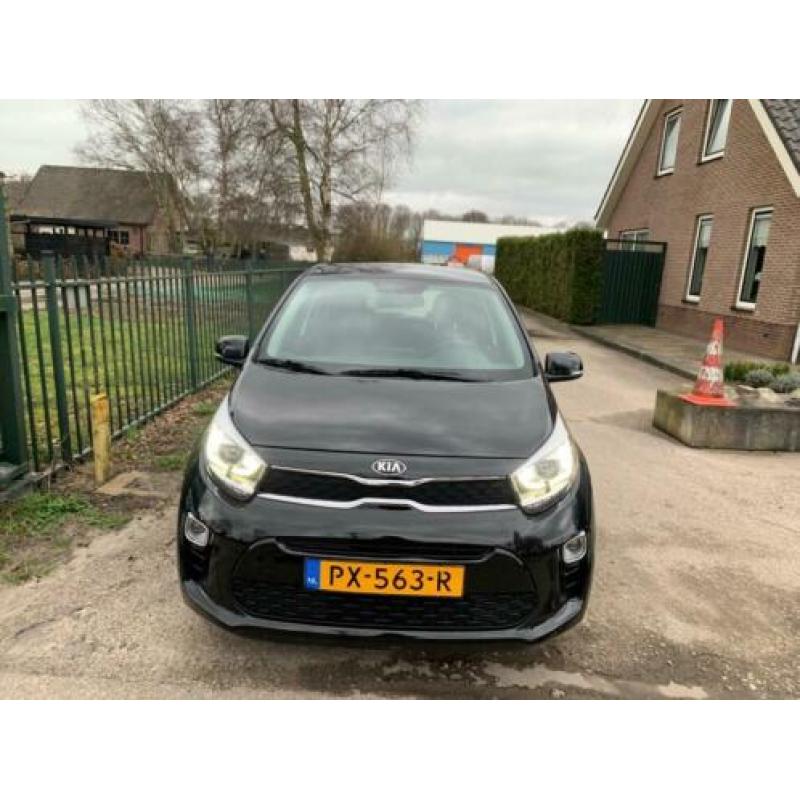 Kia Picanto 1.0 CVVT DynamicPlusLine Nap