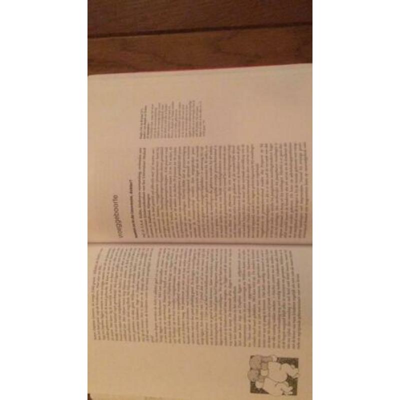 Het tweelingenboek