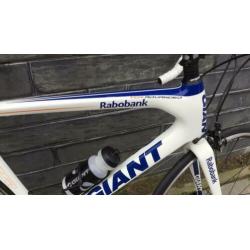 Giant TCR advanced (team replica)