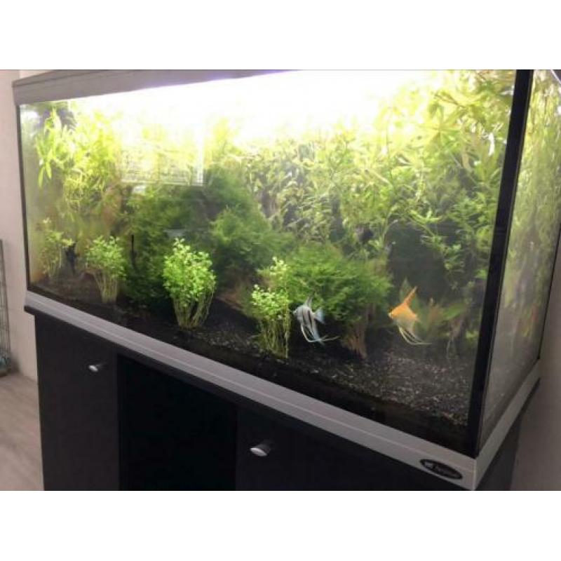 Aquarium en toebehoren,Ferplast 110 cm