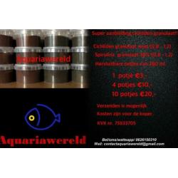 Prachtige Malawi cichliden, hoge kwaliteit, hobby prijzen!