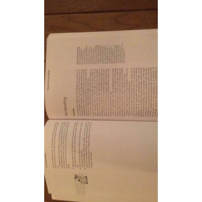 Het tweelingenboek